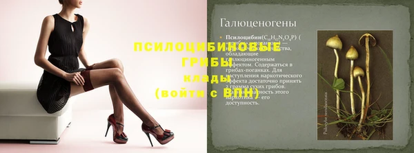 apvp Абаза